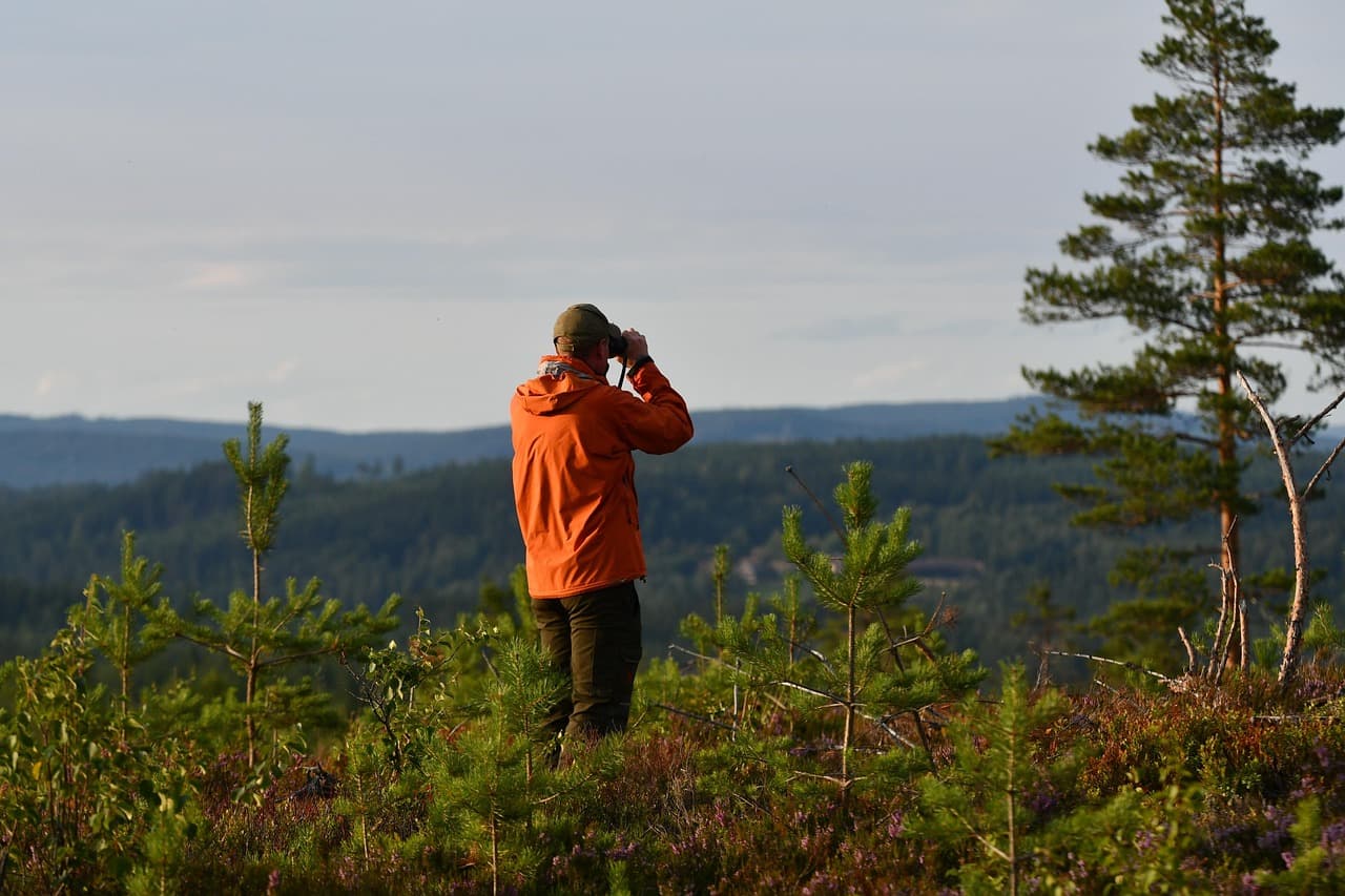 En person som tittar på en fjällutsikt genom kikare
