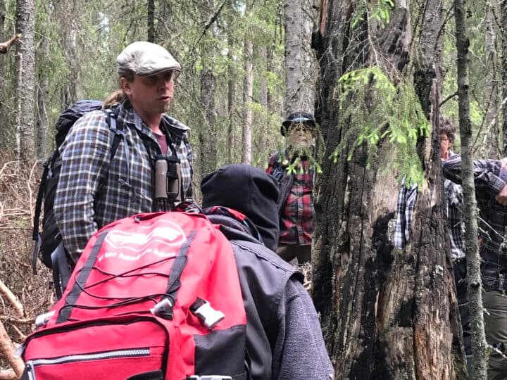 Information om biologisk mångfald i skogen